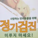 첨단사랑동물병원 이미지