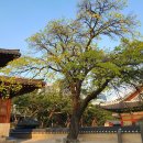 장안검도관 이미지