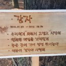 양이컨츄리