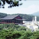 동화사 이미지