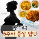 힘내요김밥 | 임신 6주차 증상 기록 입덧 살안찌는 법