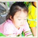 정다운목장 이미지