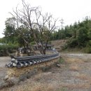 경북만노 이미지