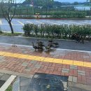 개스트룸 | 한국 방문 (3)