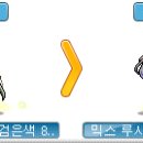 시크릿헤어 이미지