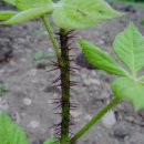 노곡면사무소 이미지