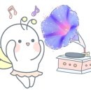 세시인력 이미지