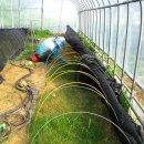 금송하우스 이미지