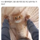 버킷리스트 이미지