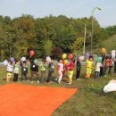 보림어린이집 이미지