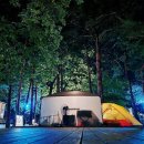 무릉계곡 힐링캠프장 이미지