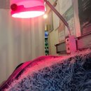 성덕한의원 이미지