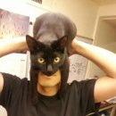 아이엠캣 이미지