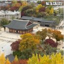 11월13일(화)단풍명소 덕수궁산책~청계천~동대문역~창신동 이미지