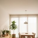 식물 인테리어 이미지