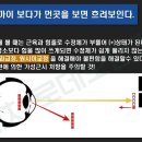 아비오르 이미지