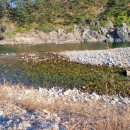 이디야 축협울진하나로마트점 이미지