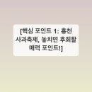 여로민박 | 홍천사과축제 2024 가을 나들이