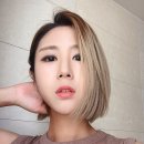 공작미용실 이미지