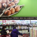 선제농장 계란