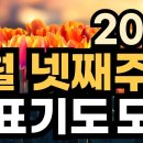 2026년 3월 넷째주 주일예배 대표기도문 예시 이미지