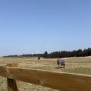 성일목장 이미지