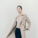 마인드브릿지 이미지