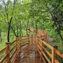 선돌 민박 이미지