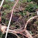 종산농장 이미지