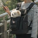 텐마일