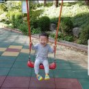 (유)미라클상사 | [청울림 강연 후기] 현재에 머무르는 사람