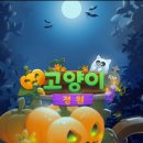 고양이에정원 이미지