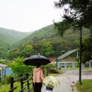 연밭식당 이미지