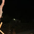 금동산야 이미지