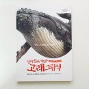 고래 그림책 추천 진짜진짜 재밌는 고래 그림책 솔직 후기 유아 백과사전 입문