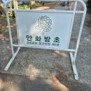 2026년 경남 고성 가볼만한 곳 만화방초 수국축제 다녀온 후기