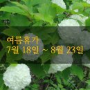 블룸스앤드 이미지