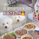 스타일펫 | 동결건조간식 펫퍼플 솔직후기, 노령견도 잘 먹어요!