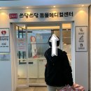 24시 쓰담쓰담 동물메디컬센터 | 24시 쓰담쓰담동물메디컬센터 고양이 건강검진 후기