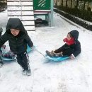 배성유치원 이미지