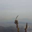 계양(근린)공원(계양공원관리) 이미지