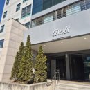 파스타입니다 시지점 | 대구 시지 아이동반 애견동반 대형 브런치카페 아이올리카페 솔직후기