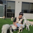 놀러오개 애견유치원 애견호텔 동대문점 이미지