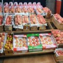 백년 농장 이미지