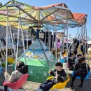 GR(완주군)-[삼례로]-상-2 | [2026 완주삼례딸기대축제 갔다온 후기] 주차,딸기가격,일정,체험 등