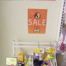 은평애견 이미지