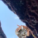 나우목장 이미지