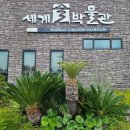 세계술박물관 이미지