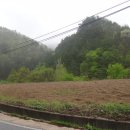 전원오토캠핑장 이미지