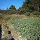 춘천지방법원 영월지원 이미지